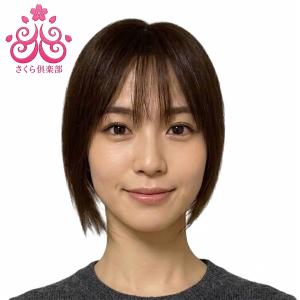 部分ウィッグロング 25cmから30cm 人毛100% top-25 縦長Mサイズ 総手植え ストレート ヘアピース 医療用 特殊人工皮膚 分け目 自然 軽量 レディース かつら 栗色