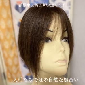 部分ウィッグロング 25cmから30cm 人毛...の詳細画像2