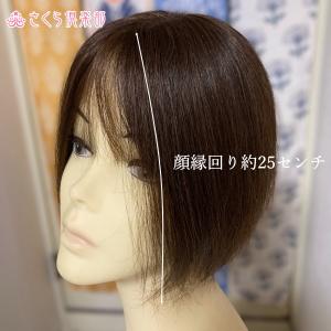 部分ウィッグロング 25cmから30cm 人毛...の詳細画像3