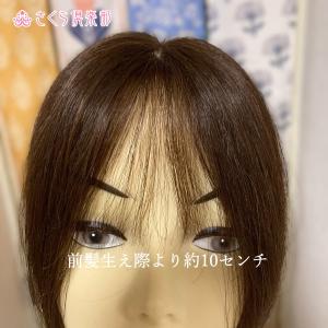 部分ウィッグロング 25cmから30cm 人毛...の詳細画像4