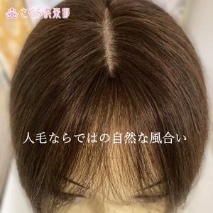 部分ウィッグロング 25cmから30cm 人毛...の詳細画像5