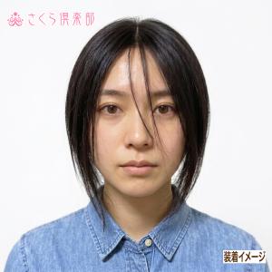 部分ウィッグ 人毛100% top-30 ワン...の詳細画像1
