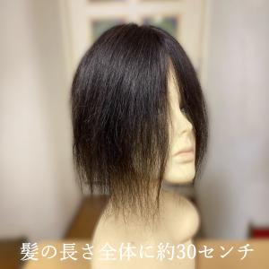 部分ウィッグ 人毛100% top-30 ワン...の詳細画像2