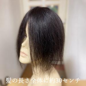 部分ウィッグ 人毛100% top-30 ワン...の詳細画像3