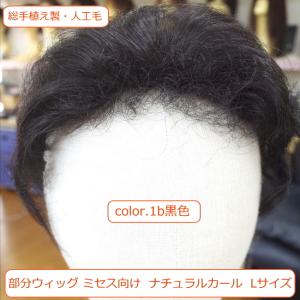 部分ウィッグ ミセス top-dv Lサイズ ...の詳細画像1