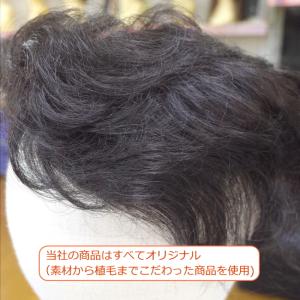 部分ウィッグ ミセス top-dv Lサイズ ...の詳細画像3
