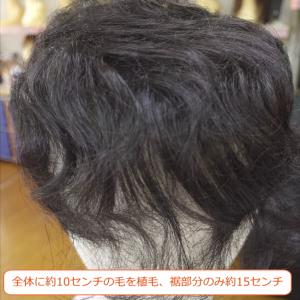 部分ウィッグ ミセス top-dv Lサイズ ...の詳細画像5
