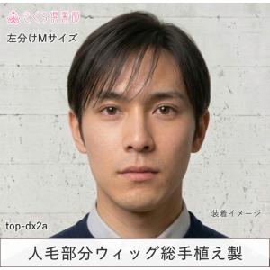人毛100% 男性用 部分ウィッグ top-d...の詳細画像1