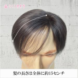 人毛100% 男性用 部分ウィッグ top-d...の詳細画像3