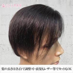 人毛100% 男性用 部分ウィッグ top-d...の詳細画像4