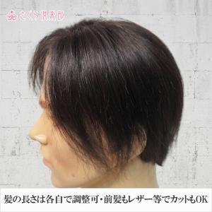 人毛100% 男性用 部分ウィッグ top-d...の詳細画像5