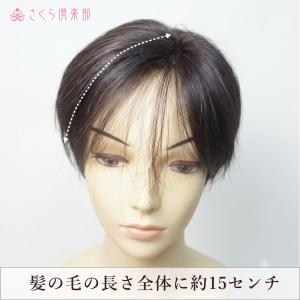 部分ウィッグ 人毛100% 女性 レディース総...の詳細画像2