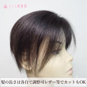 部分ウィッグ 人毛100% 女性 レディース総...の詳細画像3