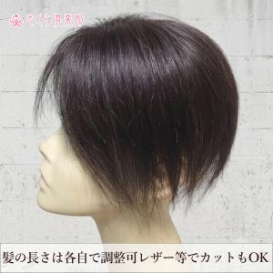部分ウィッグ 人毛100% 女性 レディース総...の詳細画像4