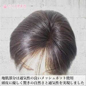 部分ウィッグ 人毛100% 女性 レディース総...の詳細画像5