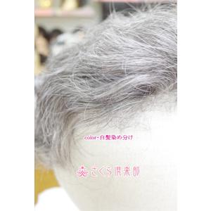 部分ウィッグ かつら ミセス向け 人工毛 ナチ...の詳細画像2