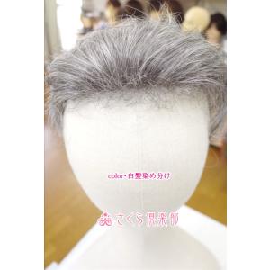 部分ウィッグ かつら ミセス向け 人工毛 ナチ...の詳細画像1