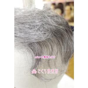 部分ウィッグ かつら ミセス向け 人工毛 ナチ...の詳細画像3