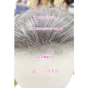 部分ウィッグ かつら ミセス向け 人工毛 ナチ...の詳細画像4