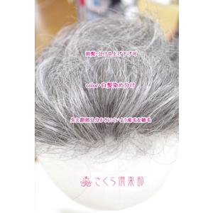 部分ウィッグ かつら ミセス向け 人工毛 ナチ...の詳細画像5