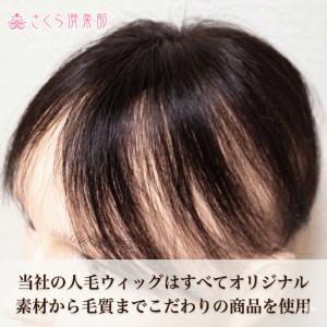 男性用メンズ部分ウィッグ 人毛100% top...の詳細画像1
