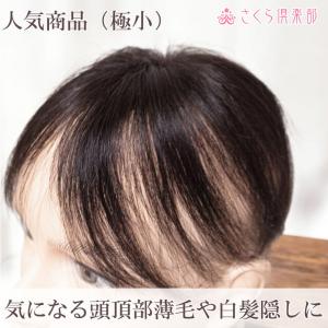 男性用メンズ部分ウィッグ 人毛100% top...の詳細画像2