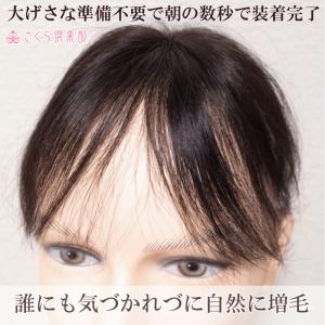 男性用メンズ部分ウィッグ 人毛100% top...の詳細画像3