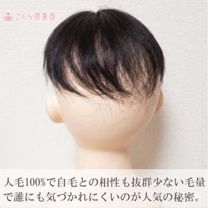 男性用メンズ部分ウィッグ 人毛100% top...の詳細画像4