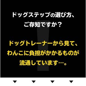 ドッグトレーナー監修 不満点をわんこ目線で解決...の詳細画像1