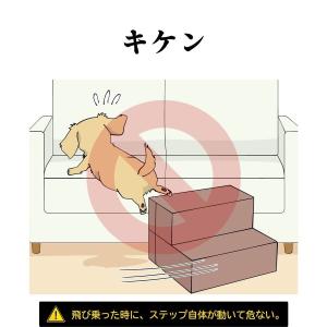 ドッグトレーナー監修 不満点をわんこ目線で解決...の詳細画像4