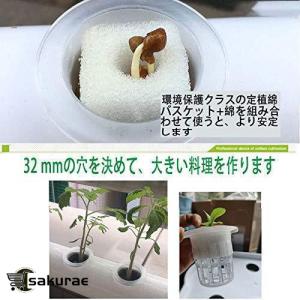 水耕栽培キット すいこう栽培キット 野菜 栽培...の詳細画像3