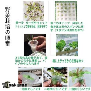 水耕栽培キット すいこう栽培キット 野菜 栽培...の詳細画像4