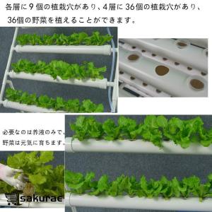 水耕栽培キット すいこう栽培キット 野菜 栽培...の詳細画像5