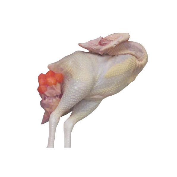 秋田 比内地鶏 丸鶏 中抜き1羽（2.3〜2.5kg） 生フレッシュチルド※(頭：足：もつ)付