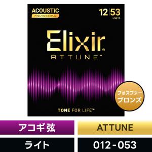 Elixir（エリクサー） アコースティックギター弦 ナノウェブ Custom