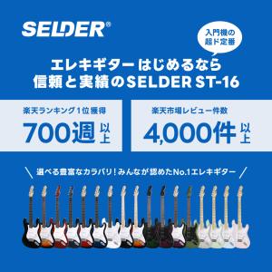 エレキギター SELDER ST-16 13点...の詳細画像4