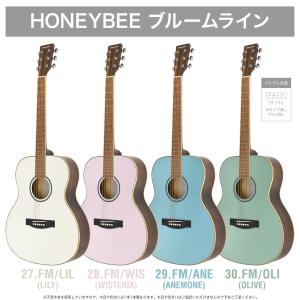 アコースティックギター 初心者セット 16点 ...の詳細画像2