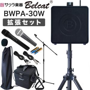 スピーカーセット カラオケセット 家庭用 拡声器 ワイヤレス