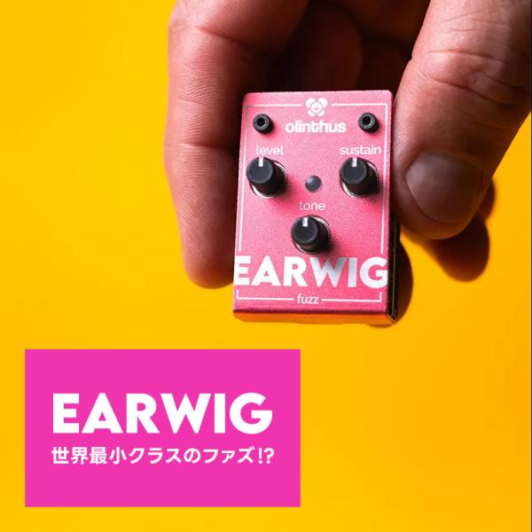 『今だけピック10枚セット付き』 EARWIG  〔 イアーウィグ 〕 ファズ 〔 olinthus...