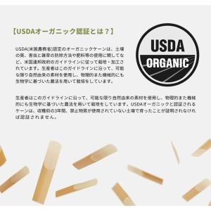 DAddario WoodWinds ダダリオ...の詳細画像3