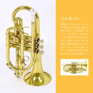 Soleil コルネット SCT-1〔B♭〕単...の詳細画像3