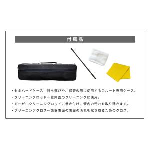 Soleil フルート SFL-1 単品 専用...の詳細画像1