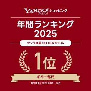 エレキギター 初心者セット SELDER ST...の詳細画像5