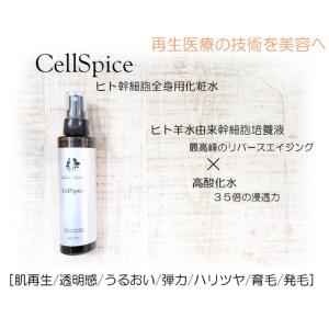 アセッテナイ デオドラントクリーム Asettenai 20g 制汗剤 わき 臭い
