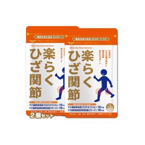 大正製薬株式会社 ビオフェルミン製薬株式会社 新ビオフェルミンS錠