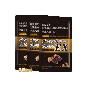 ○(期限2025年11月1日) タケイ ブラックジンジャー プレミアムEX 60粒