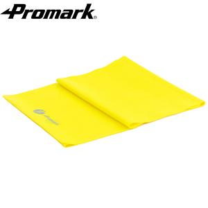 【PROMARK・プロマーク】立花龍司コラボ商品!!トレーニ...