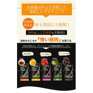 ファイトクラブ ホエイプロテイン チョコレート...の詳細画像3