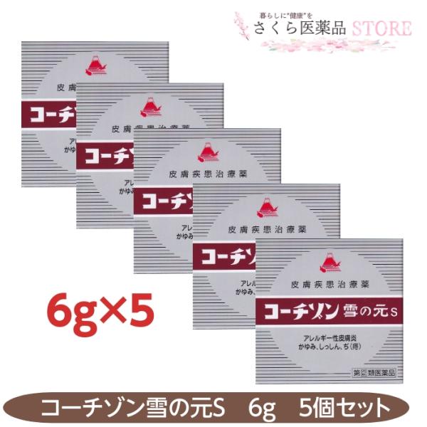 【指定第2類医薬品】 コーチゾン雪の元S ６g ５個セット  アレルギー性皮膚炎 かゆみ しっしん ...