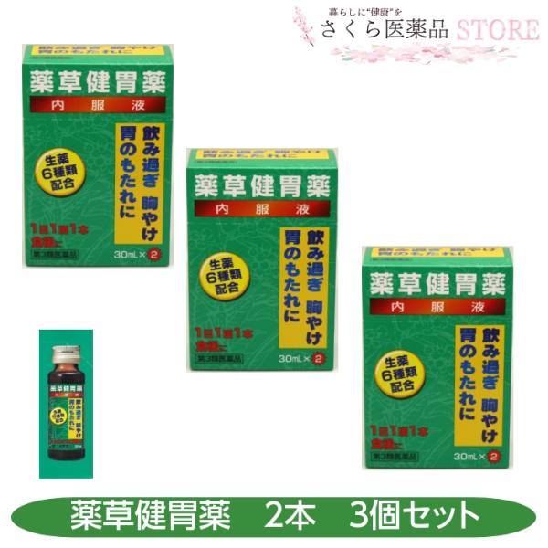 【第3類医薬品】薬草健胃薬内服液 2本入 3箱セット 飲みすぎ 胸やけ 胃のもたれ 薬草 田村薬品工...